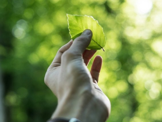 Indústria 4.0 e sustentabilidade: Caminhos para uma produção mais verde.